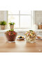 2-Piece Glass Bowl - Decorative Presentation Bowl and Fruit Bowl - Crystal