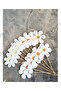 Daisy Themed 32 Piece Giant Set Birthday Banner Cake Toothpick and Cupcake Topper - 6
