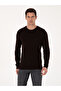 Brown Slim Fit Cotton Blend Crew Neck Basic Knitwear Sweater 50318620-Vr029