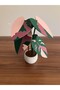 Philodendron Tree Shaped Pink/Green Princess Coaster - 4