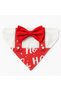 New Year's Concept Cat Dog Bandana