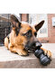 Extreme Dental Dog Toy for Teeth Cleaning Ultra Hard L - 3