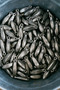Pear Lead 50 Gr - 1 kg - 2