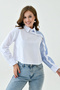 Women's Custom Designed Collar, Cuff Buttoned, Striped Trimmed Crop Blouse Shirt - 5