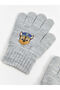 Paw Patrol Printed Baby Boy Gloves - 3