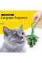 Healthy Teeth-Cleaning Catnip Ball - Refreshes Breath & Promotes Digestion in Cats - 3