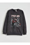 Esvab • Modern & Distinctive Spider-Man Printed Boys' Sweatshirt
