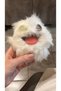 Zuru Fuggler Keychain White Furry Funny Face Collectible Toy 11 cm - 6