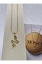 Snake Model Gold Color Zircon Stone Steel Necklace - 3