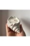 Oyster Mussel Seashell Candle Holder Presentation Tray Silicone Mold K-1491, Stone Powder P Polyester Plaster Mold - 8