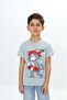 Boy's Printed Crew Neck Short Sleeve T-Shirt