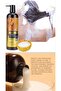 Moroccan Argan Oil Hair Care Set (Shampoo & Serum) - Sulfate Free, Repairs Damaged Hai - 4