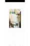 Cross Stitch Embroidered Monika Fabric - 3