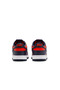 Dunk Low Retro DV0833-601 - 3