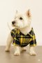 Small Breed Yellow Winter Lumberjack Shirt Dog Clothing (1-10kg) - 5