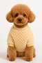 Plush Teddy Bear Dog and Cat Sweater – Your Little Friend's Winter Luxury Style!