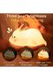 Big Face Rabbit Night Light for Kids Silicone Lamp, USB Rechargeable 3-Level Dimmable with 30-Min Ti - 2
