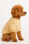 Plush Teddy Bear Dog and Cat Sweater – Your Little Friend's Winter Luxury Style! - 2