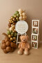 Balloon Set 40 Pieces (Chrome Gold-Chocolate-Eucalyptus-Sea Sand)