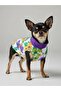 Flora Rain Small Dog Raincoat Jacket - 4