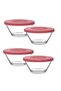 Feyzade Vega Storage Container 4 Pieces 215Cc