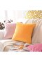 Velvet Decorative Square Throw Pillow Covers, 18x18in (45x45 cm), Pack of 2 - Light Pink - 2