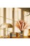 105 Pcs Natural Pampas Grass Decor, 17in/45cm Dried Flowers for Home Boho Decor - 7