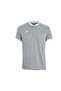 Technifibre Team Mesh Polo Silver Color Men's T-Shirt