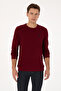 Men's Regular Fit Crew Neck Burgundy Sweatshirt 50310310-Vr014 - 3