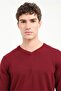 Men's Regular Fit V-Neck Burgundy Knitwear