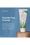 Forever Living - Bright Toothgel - Fluoride-Free Aloe Vera Gel with Bee Propolis, Peppermint-Spearmi - 4