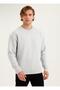 Men's Solid Basic Circular Neck Sweatshirt - 3