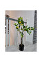 Lamai 100cm - 3