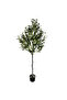 Maslin 150cm