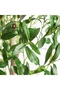 120cm (3.9ft) Artificial Olive Tree PE Leaves Faux Olives UV-Resistant Indoor No Watering. - 9