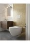 Matte Gold Lid Toilet Paper Holder - Premium Antique Lid Toilet Paper Holder 100% Brass Rustproof