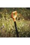 Metal shovel with "D" handle, Solid - 5