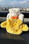 Cute Duck Chick Hot Water Bag with Cover (22*16 cm) - 2