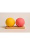 Set of 2 Brightly Colored Dog Play Balls