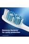 Cavity Defense Soft Manual Toothbrush For Adults, Soft Bristles, Removes Bacteria for Cavity Protection, Multicolour, Oral B Dentist Recommended Brand (Super Saver Family Pack of 6) - 2