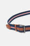 Men Navy And Brown Elastic Belt - 2