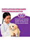Ouchies Deluxe Single Pack Hazel The Poodle (Ages 5+) - 6