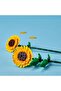 40524 Iconic Sunflower - 5