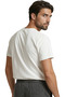Elegant Cursive Script'Italia' and Minimal Flag Printed Design Premium Men's T-Shirt - 3