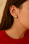 Stone Princess Earrings Stone Framed Earrings