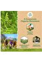 Moringa Powder - 2