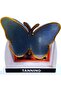 Butterfly Shaped Tanning Display Stand, Blue and Gold, White Base, Decorative Counter Display