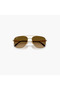 William Titanium Polarized 59MM Brown Square Sunglasses - 0RB8097 - 7