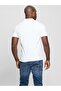 Lyle Men's Slim Fit Polo T-Shirt - 4