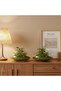 2-Pack Glass Vase Bowl, 6" & 8" Wide Mouth Clear Round Terrarium - 8